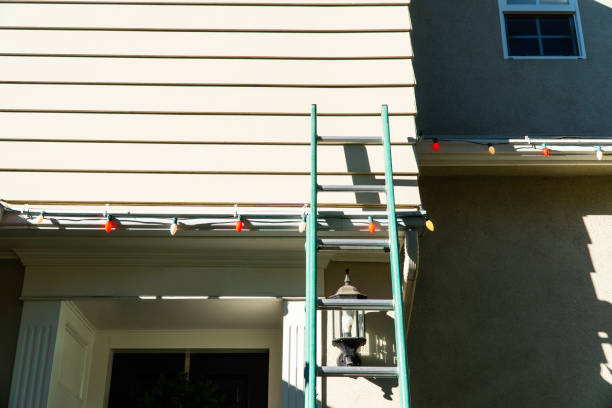 Best Shed Removal  in Royalton, IL