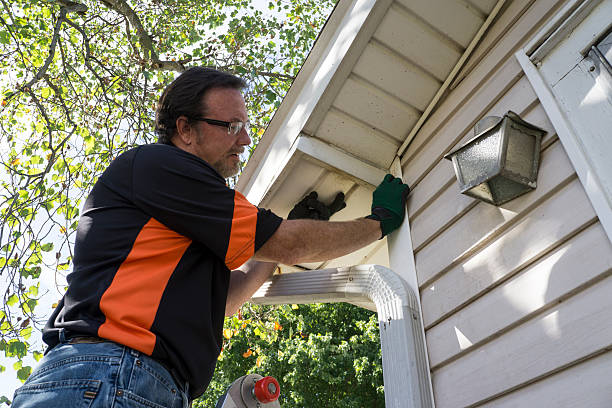 Best Hoarding Cleanup  in Royalton, IL